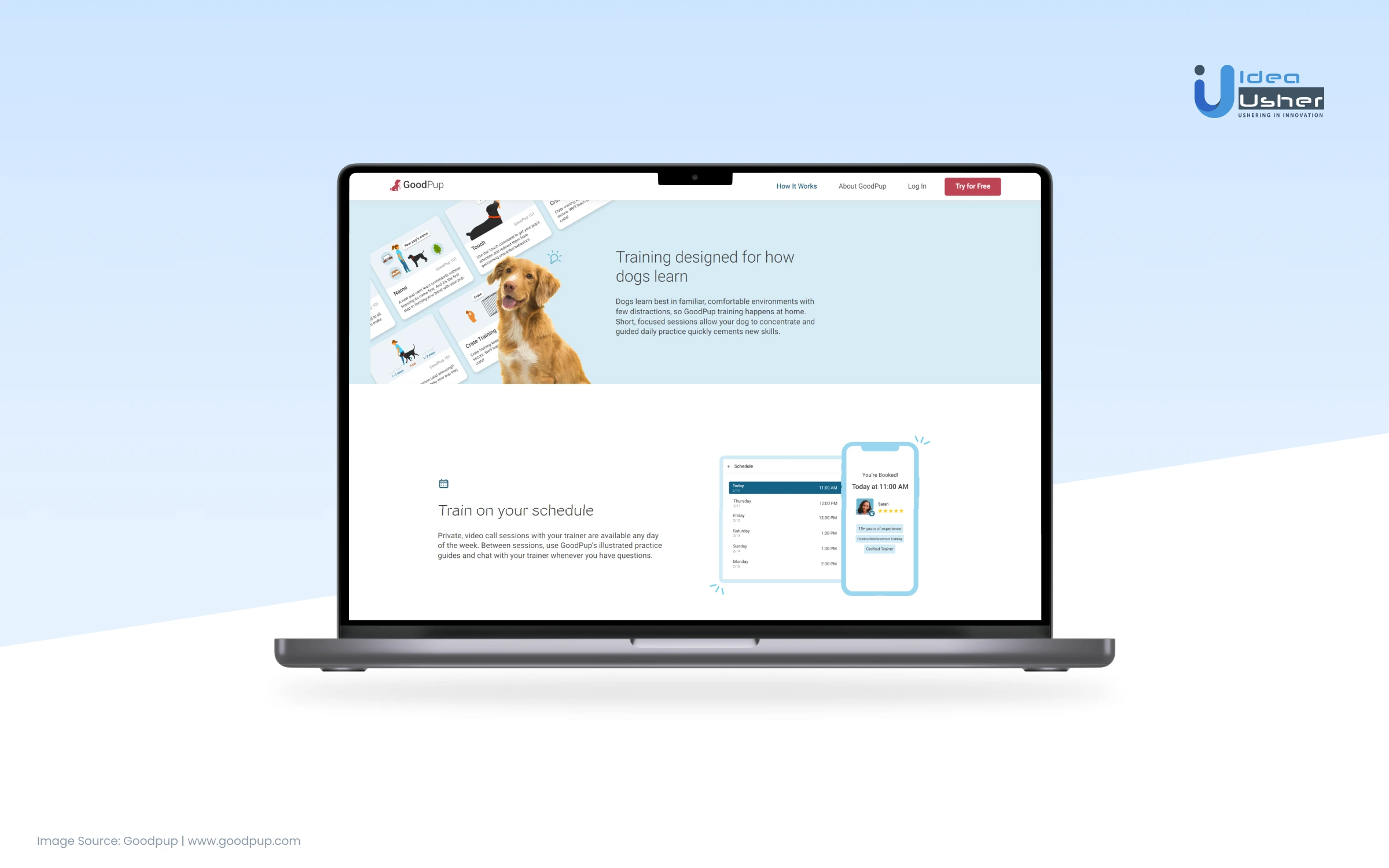 How does GoodPup Work