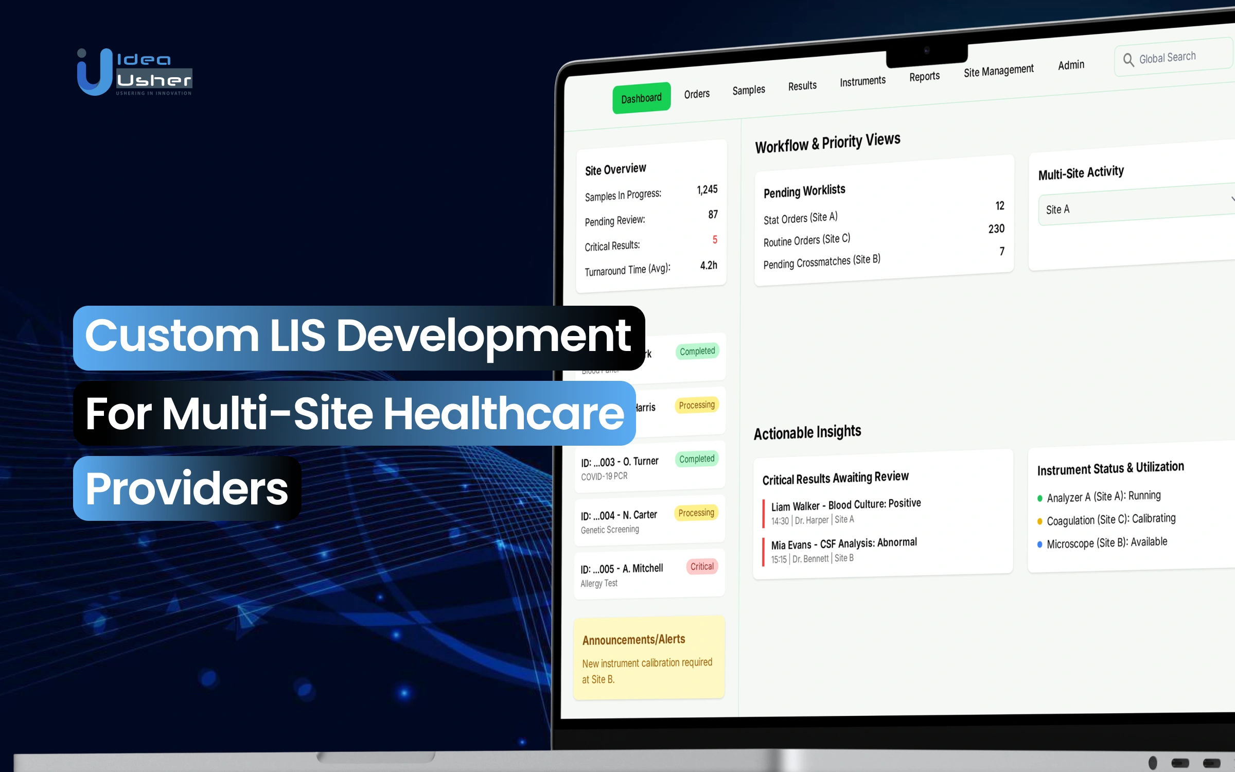 custom LIS development