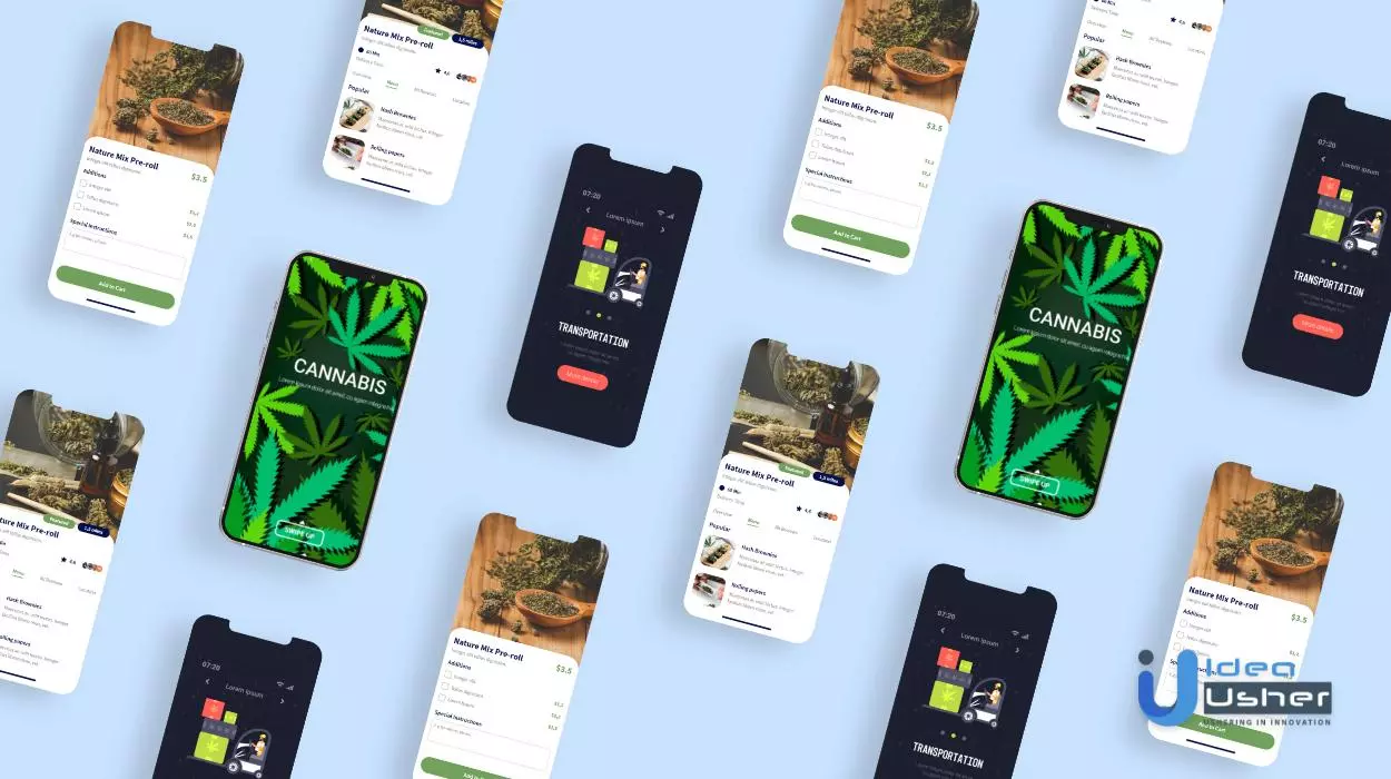 5 things to know before building cannabis delivery app