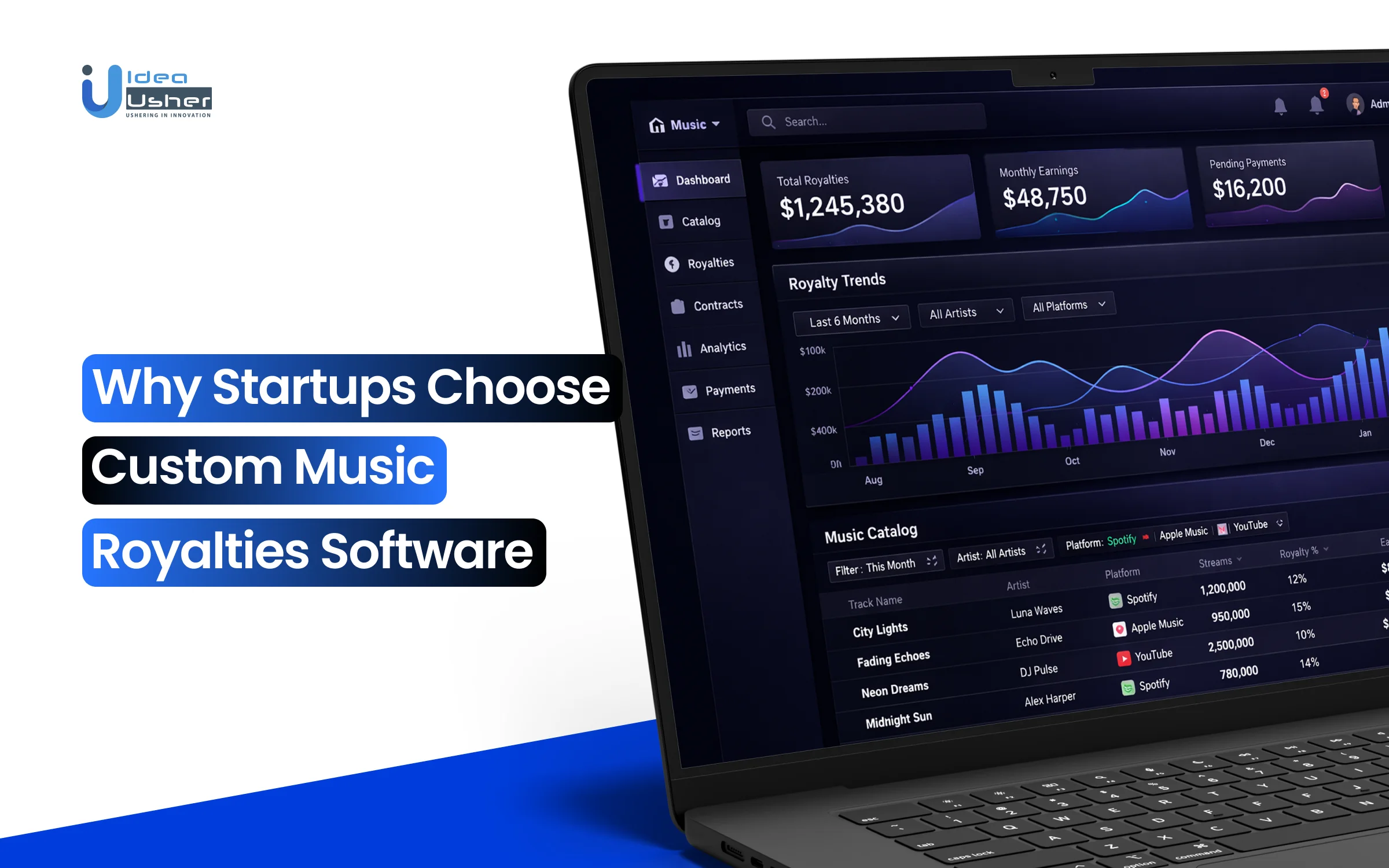 Why Startups Choose Custom Music Royalties Software