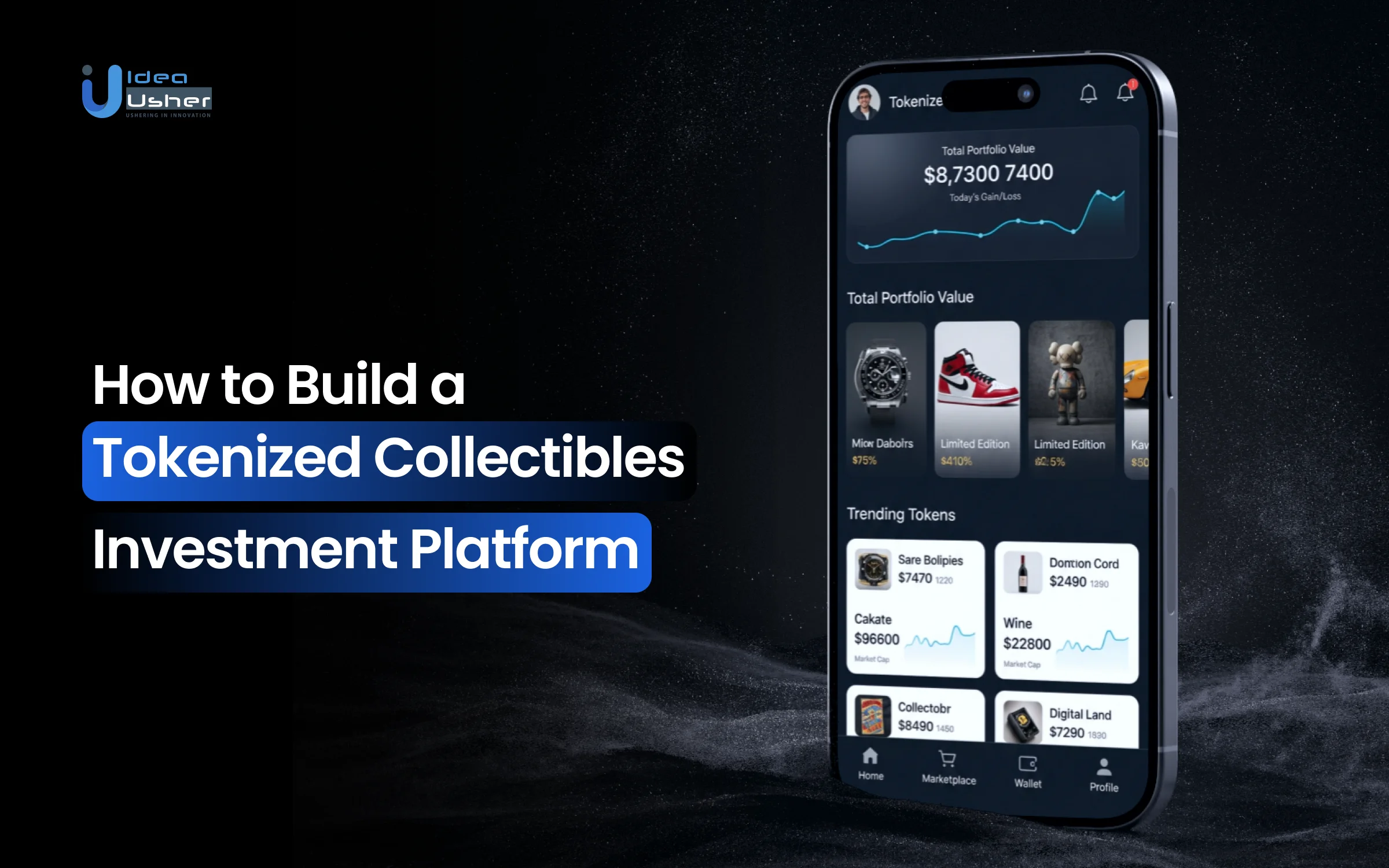 Collectibles Tokenization Investment Platform Development